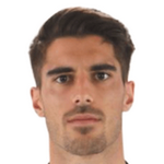 N. Vidal