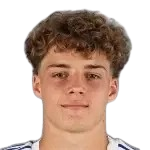 N. Feldhofer