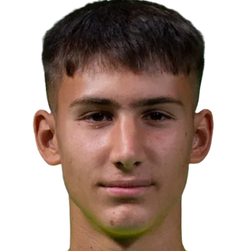 V. Draskic