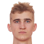 V. Bliznyuk