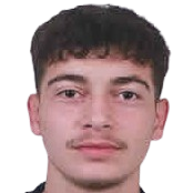 M. Sapancı