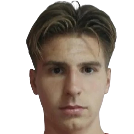 N. Mujkic