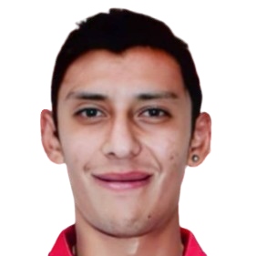 D. Navarro