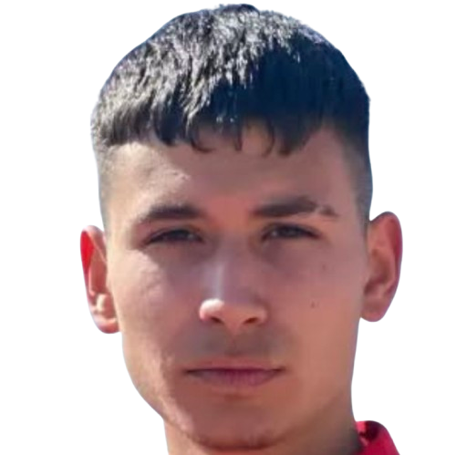 Talha Karaevli