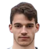 N. Petrusić