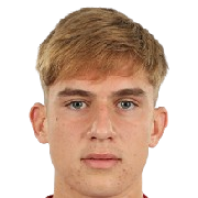 M. Frunză