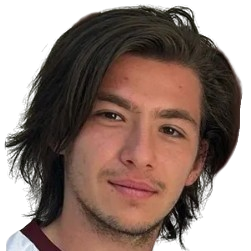 H. Harman
