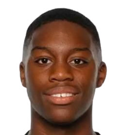 P. Srougbo
