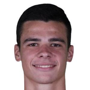 N. Savic