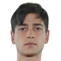 Bahadır Gölgeli