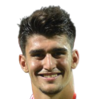 Mustafa Sarıgözoğlu