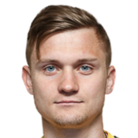 Y. Halenko
