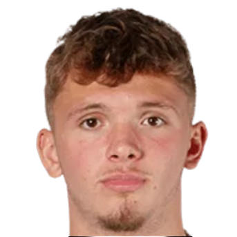 P. Arganese-McDermott