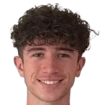 V. Alkan
