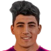 M. El Ziny