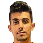 V. Gökcan
