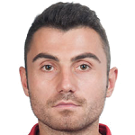 N. Mitrovic