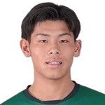 J. Fujita