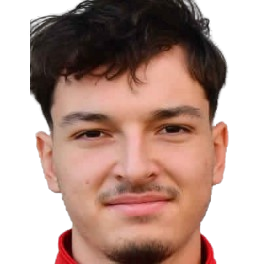 Talha Demirkol