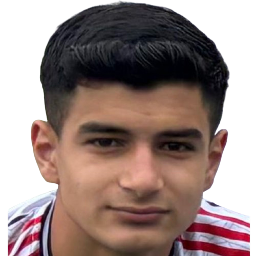 K. Doğan