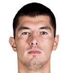 Luka Mitrovic