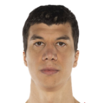 Vladimir Lucic
