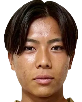 J. Fujita