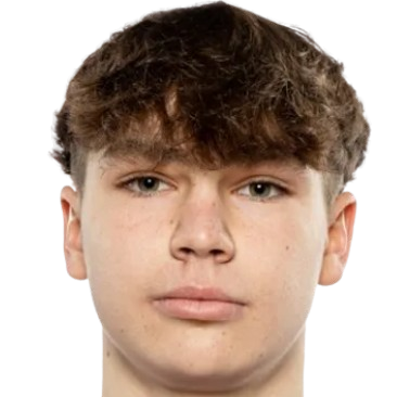 N. Voronin