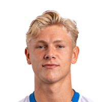 V. Larsen