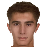 Yiğit Çaylak