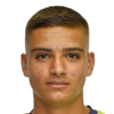 V. Grimaldi