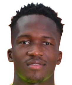 K. Kamdem Kamgaing