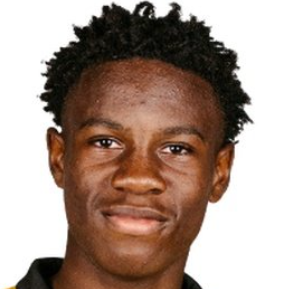 K. Ekoli
