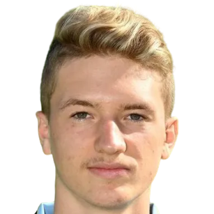 F. Shehu