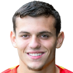 T. Dimitrijevic