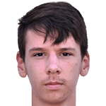 A. Dizdarevic