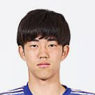 S. Fujii