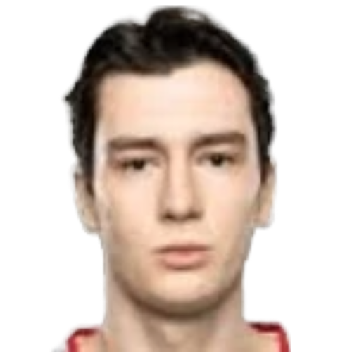 Asim Dulovic