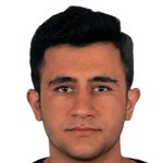 Mehmet Emin Çitil