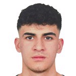 Kerem Arı Alp