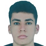 Hamza Emir Çelik