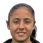 Y. Gönüllü