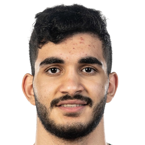 Mohammad Amini