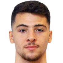 M. Samardzic