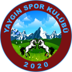 Yaygınspor