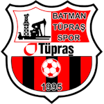 Batman Tüpraş