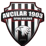 Avcılar 1903 SK