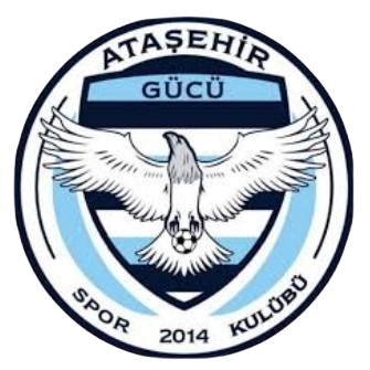 Ataşehirgücü