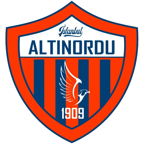 İstanbul Altınordu