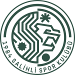 1984 Salihli